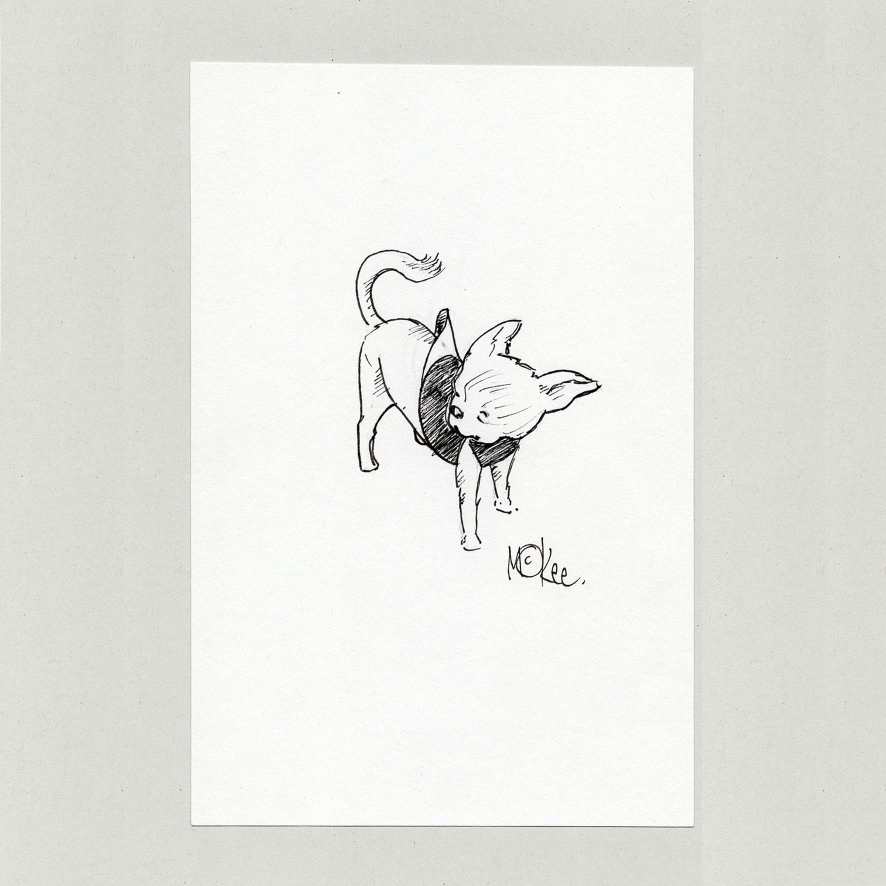 Chihuahua, Study - Original Sketch